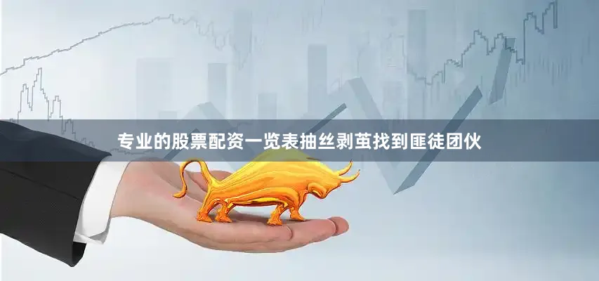 专业的股票配资一览表抽丝剥茧找到匪徒团伙