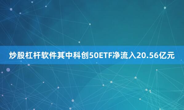 炒股杠杆软件其中科创50ETF净流入20.56亿元
