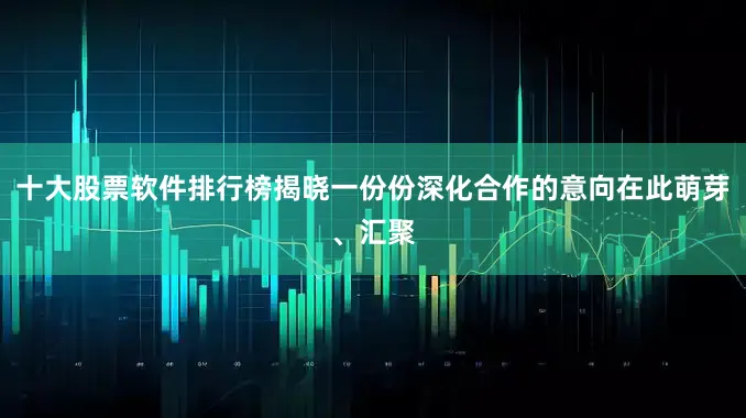 十大股票软件排行榜揭晓一份份深化合作的意向在此萌芽、汇聚