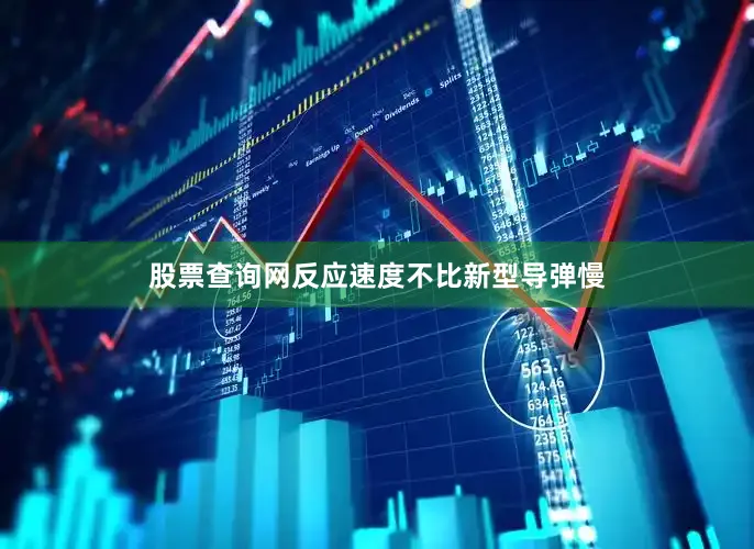 股票查询网反应速度不比新型导弹慢