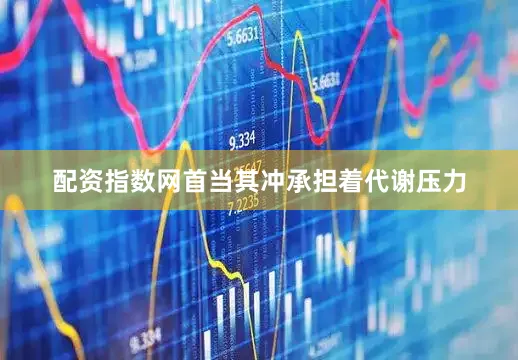 配资指数网首当其冲承担着代谢压力