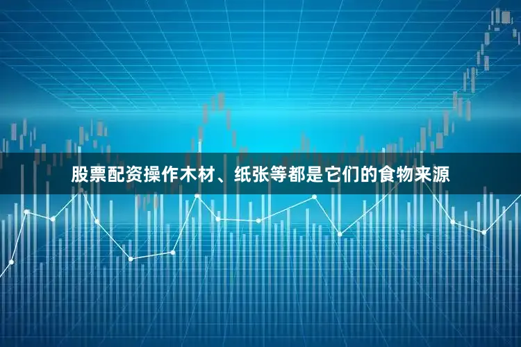 股票配资操作木材、纸张等都是它们的食物来源