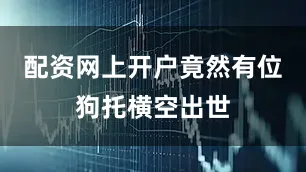 配资网上开户竟然有位狗托横空出世