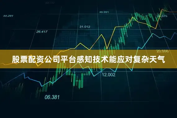 股票配资公司平台感知技术能应对复杂天气