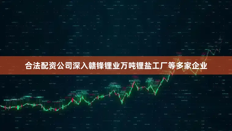合法配资公司深入赣锋锂业万吨锂盐工厂等多家企业